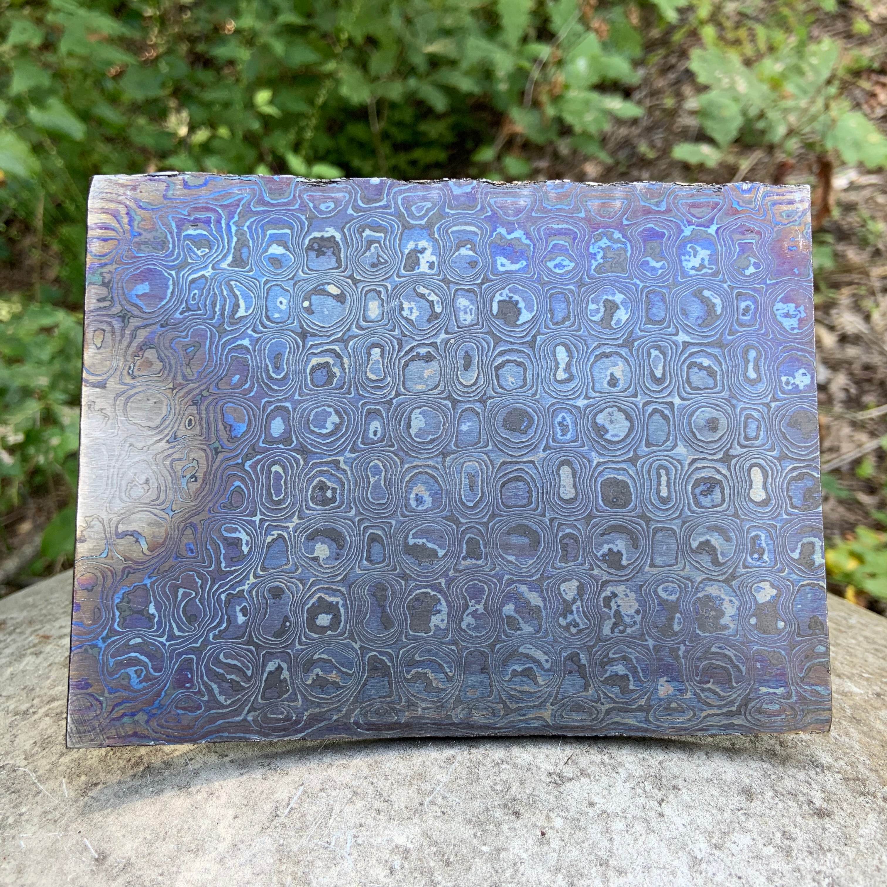 Zircu-Ti Virus - Nichols Damascus